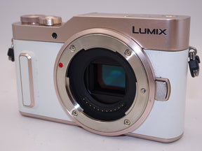 【外観特上級】PANASONIC パナソニック LUMIX DC-GF10 レンズキット ホワイト