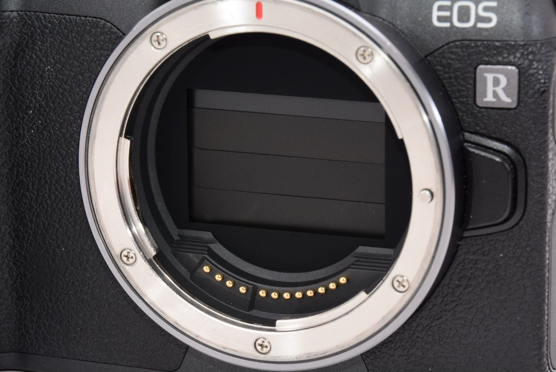 【外観特上級】Canon ミラーレス一眼カメラ EOS R ボディー EOSR