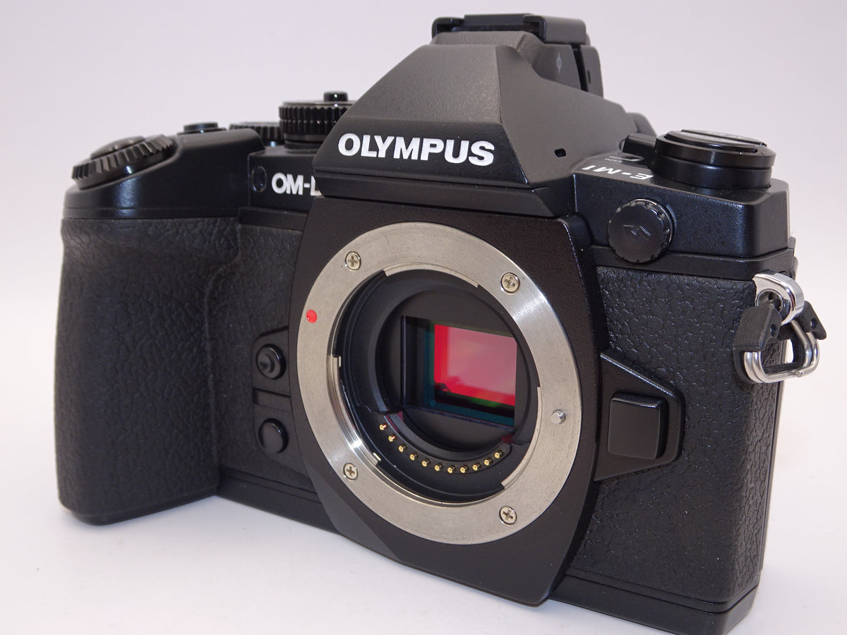 【外観特上級】OLYMPUS ミラーレス一眼 OM-D M1 ボディ ブラック