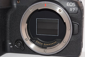 【外観特上級】キヤノン EOS R7 ボディ