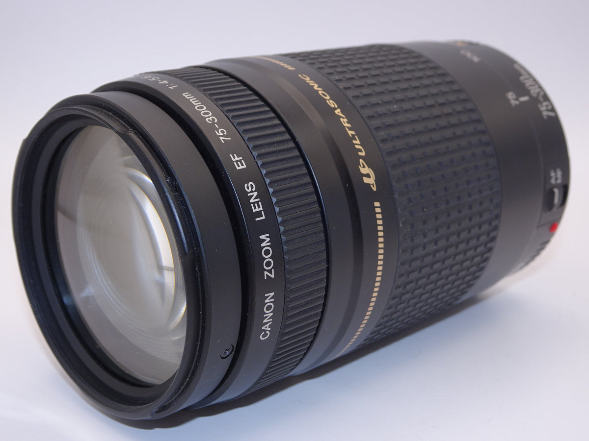 【外観特上級】Canon キヤノン ズームレンズ EF 75-300mm F4-5.6 Ⅱ USM