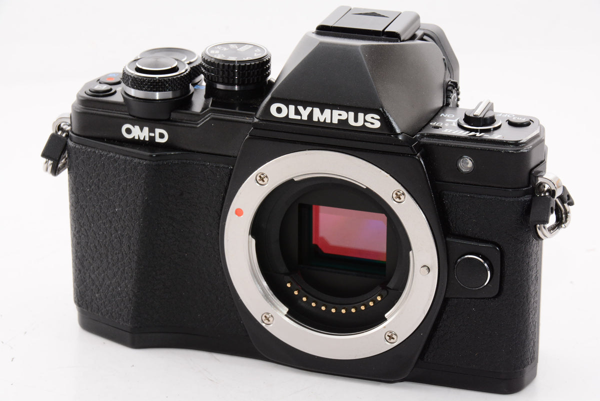 【外観特上級】OLYMPUS ミラーレス一眼 OM-D E-M10 MarkII ボディー ブラック