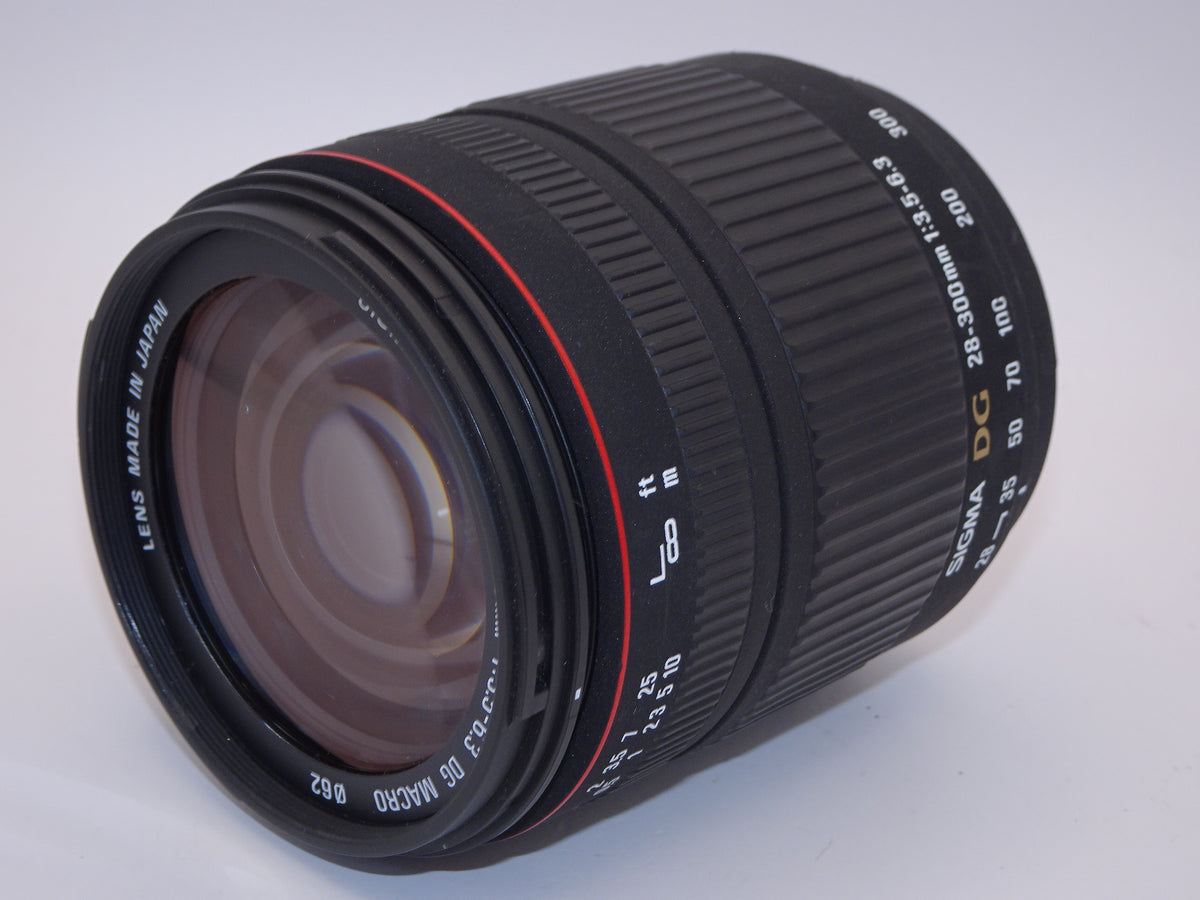 【外観特上級】SIGMA 28-300mm F3.5-6.3 DG MACRO ソニー用