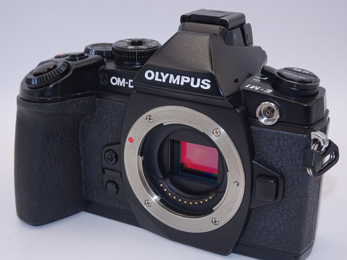 【外観特上級】OLYMPUS ミラーレス一眼 OM-D M1 ボディ ブラック