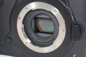 【外観特上級】パナソニック ミラーレス一眼カメラ ルミックス GH5 ボディ ブラック DC-GH5-K