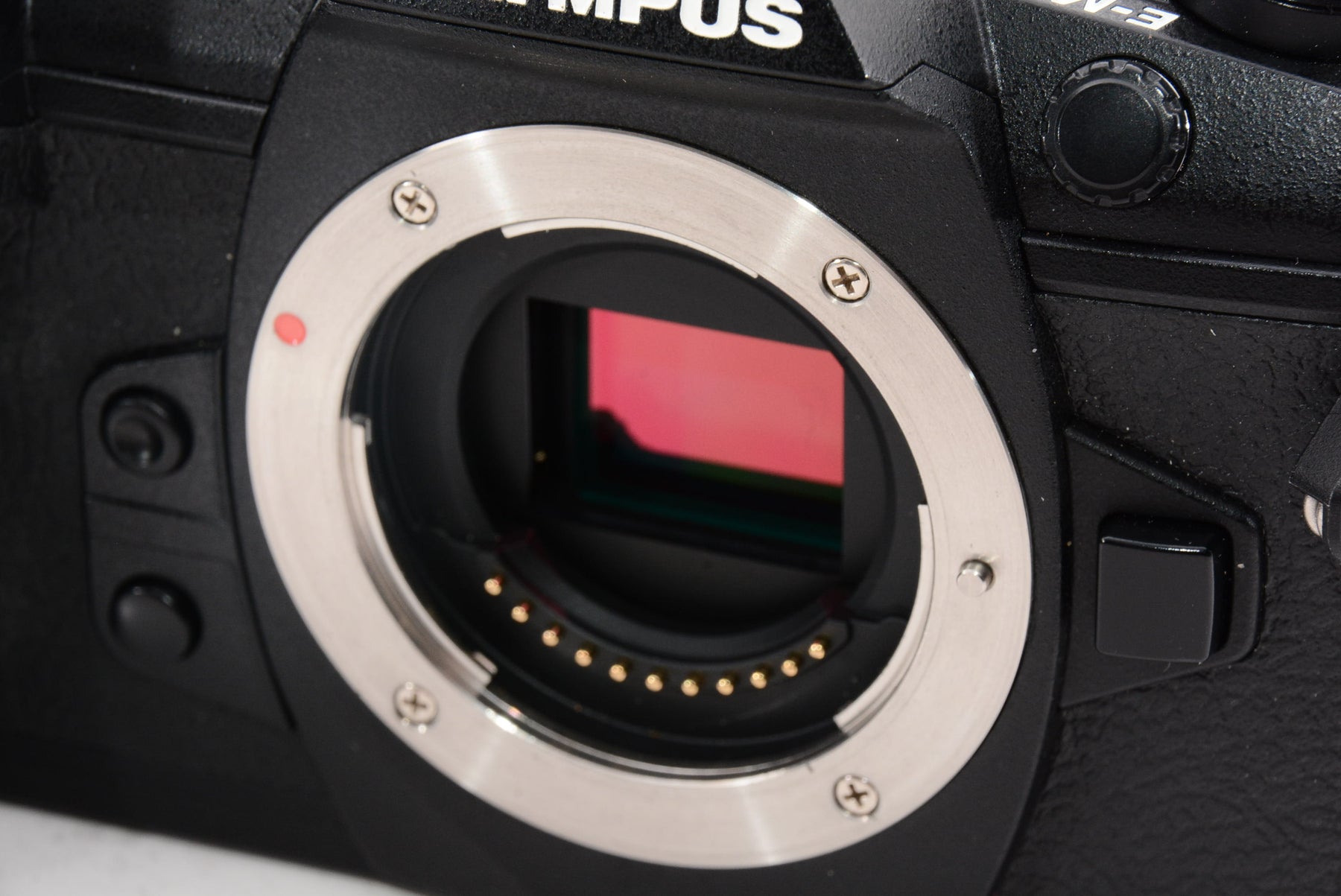 【外観特上級】OLYMPUS ミラーレス一眼カメラ OM-D E-M1 MarkII ボディー