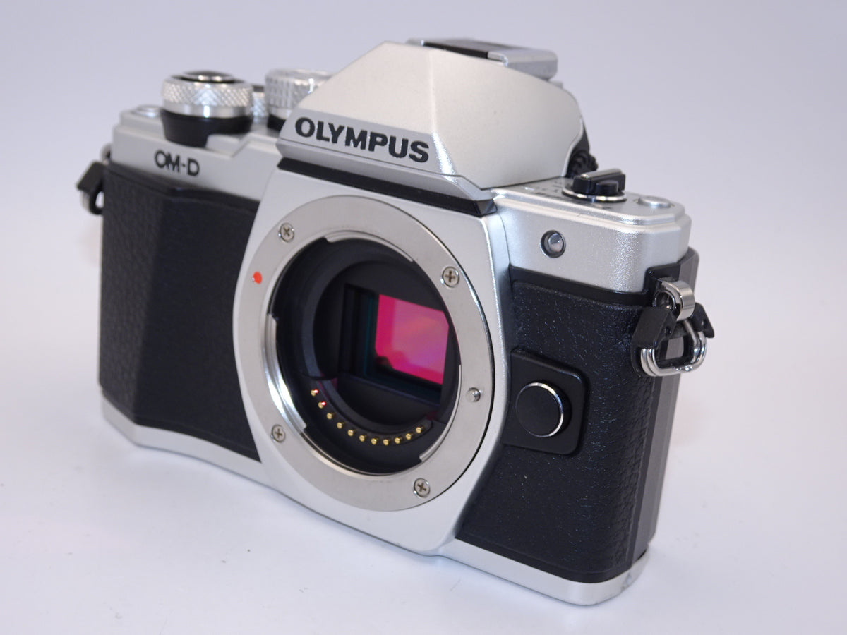 【外観特上級】OLYMPUS OM-D E-M10 MarkII 14-42mm EZレンズキット シルバー