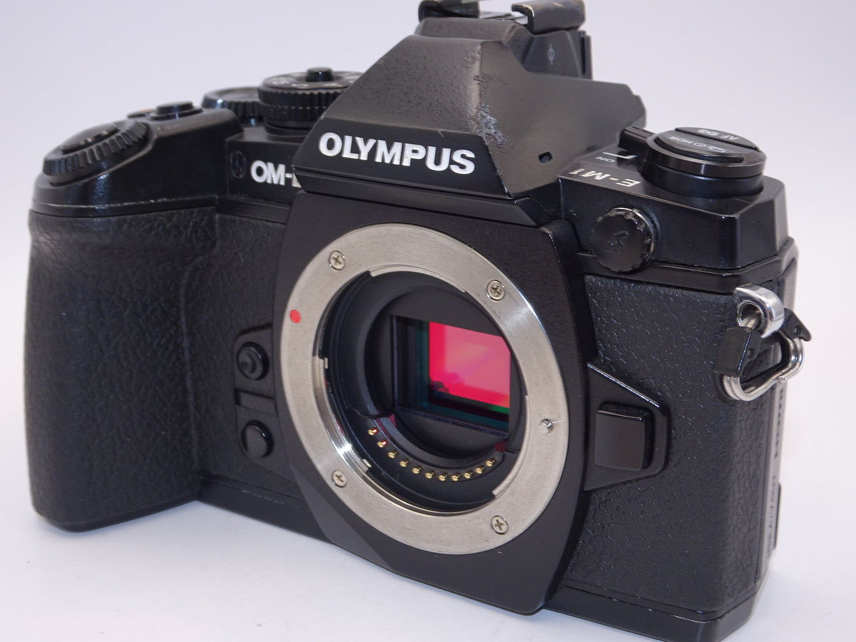 【外観特上級】OLYMPUS ミラーレス一眼 OM-D M1 ボディ ブラック